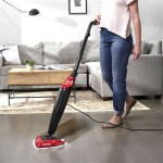 Floor Steamer For Wood Floors